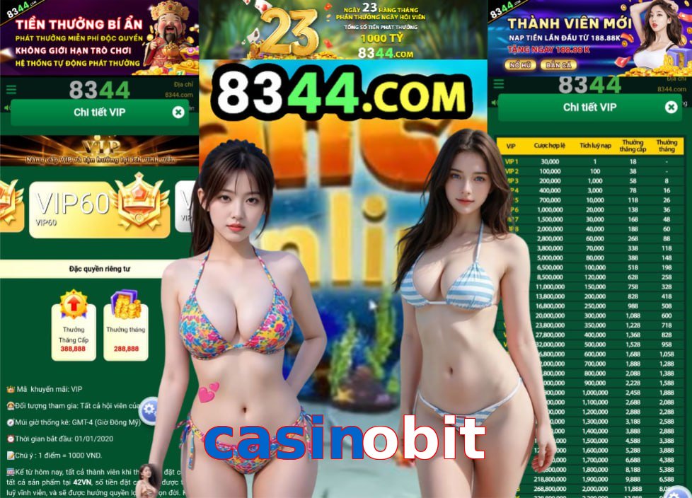 casinobit